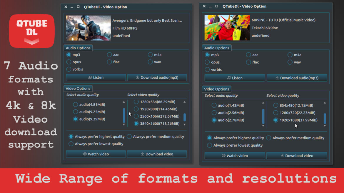 QTubeDl Video Option