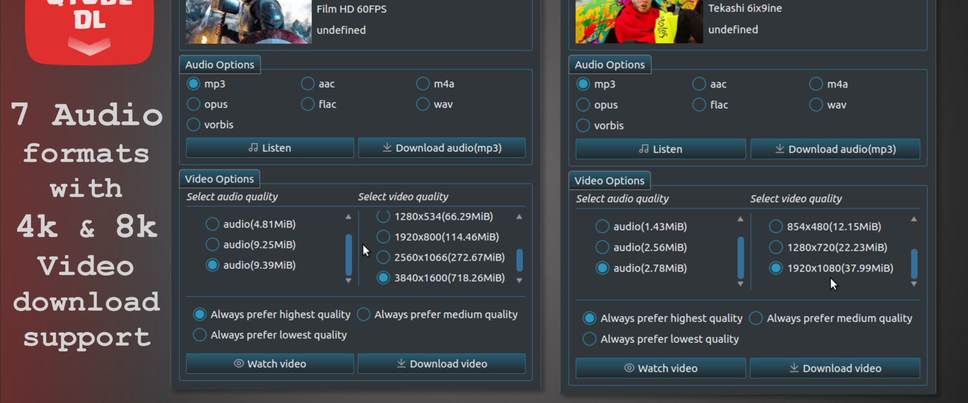 QTubeDl Video Option